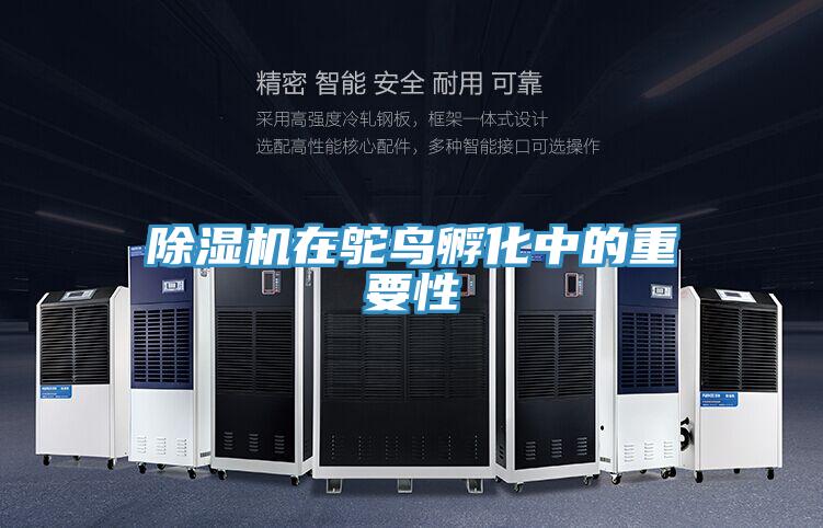 PICACG哔咔官网入口在鴕鳥孵化中的重要性