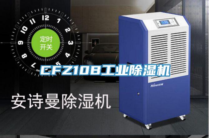 CFZ10B工業PICACG哔咔官网入口