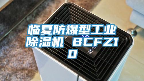 臨夏防爆型工業PICACG哔咔官网入口 BCFZ10