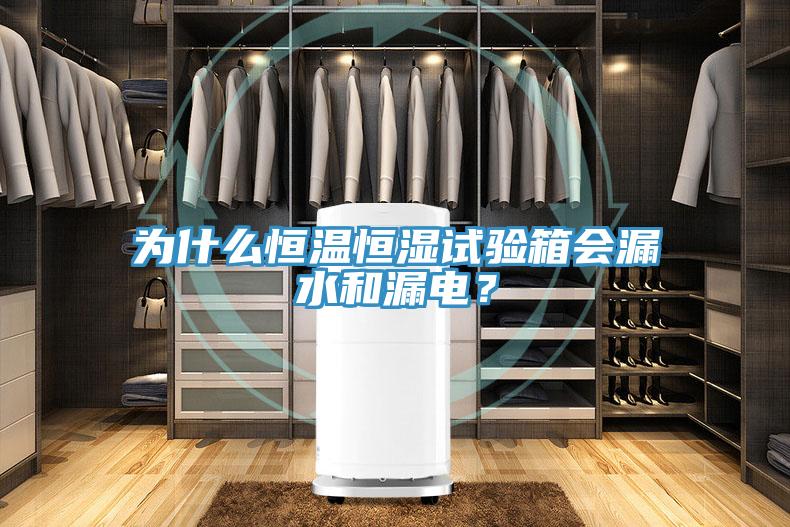 為什麽恒溫恒濕試驗箱會漏水和漏電？
