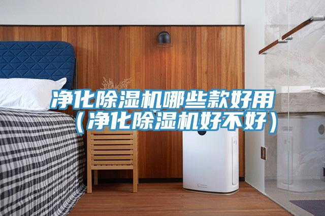 淨化PICACG哔咔官网入口哪些款好用（淨化PICACG哔咔官网入口好不好）