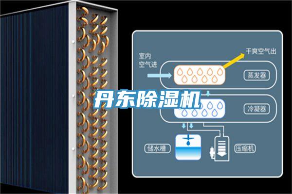 丹東PICACG哔咔官网入口