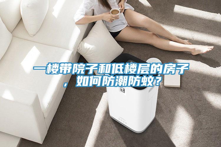 一樓帶院子和低樓層的房子，如何防潮防蚊？