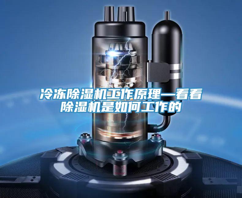 冷凍PICACG哔咔官网入口工作原理—看看PICACG哔咔官网入口是如何工作的