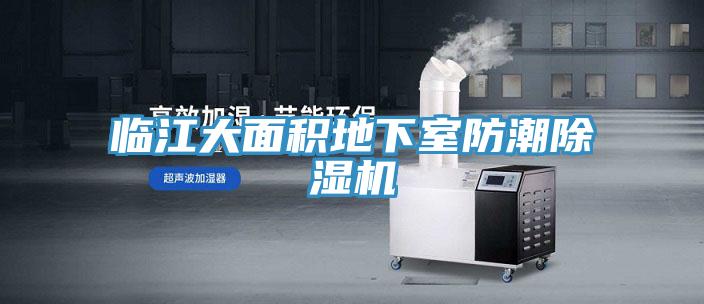 臨江大麵積地下室防潮PICACG哔咔官网入口