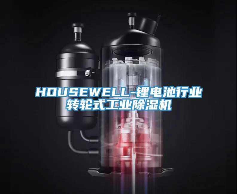 HOUSEWELL-鋰電池行業轉輪式工業PICACG哔咔官网入口