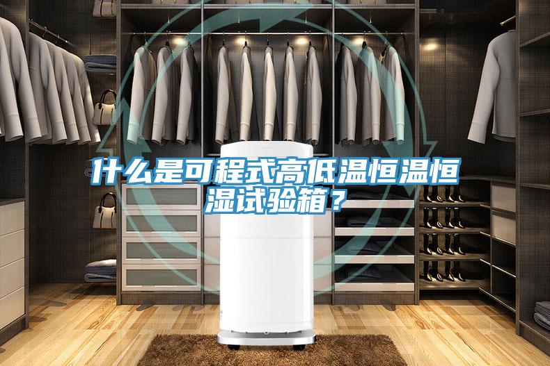 什麽是可程式高低溫恒溫恒濕試驗箱？