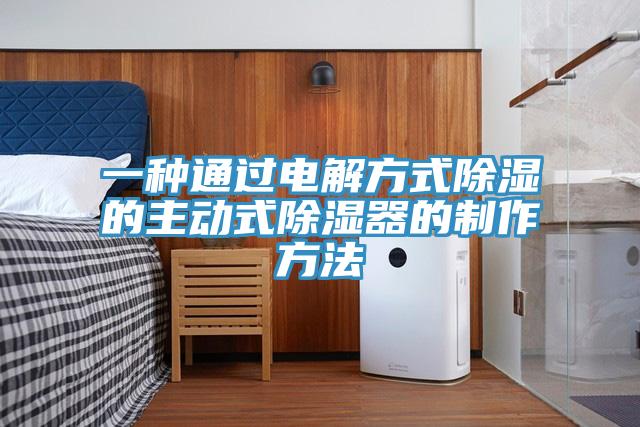 一種通過電解方式除濕的主動式除濕器的製作方法