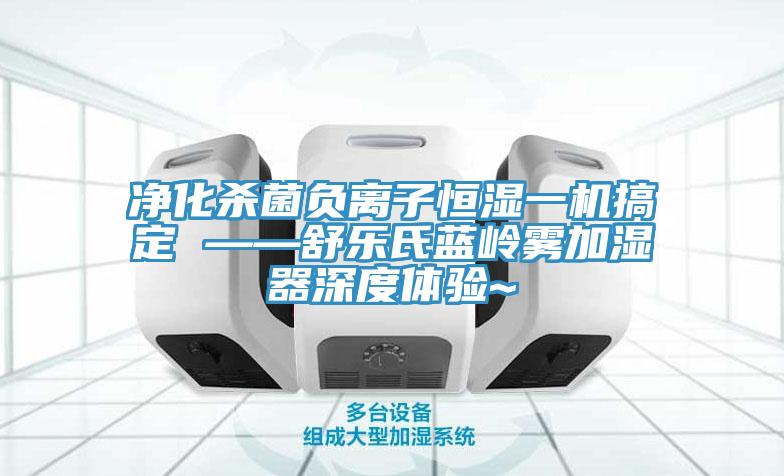 淨化殺菌負離子恒濕一機搞定 ——舒樂氏藍嶺霧加濕器深度體驗~