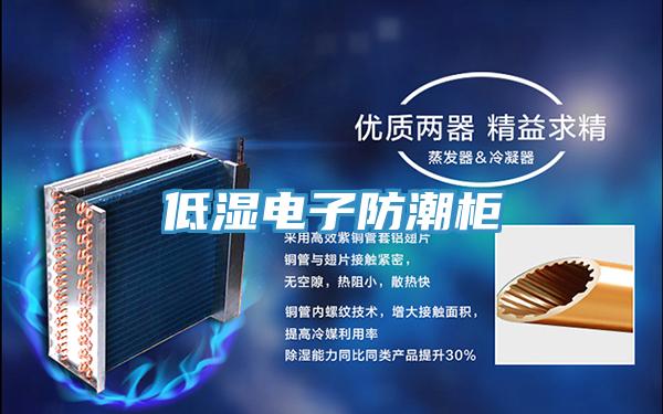 低濕電子防潮櫃