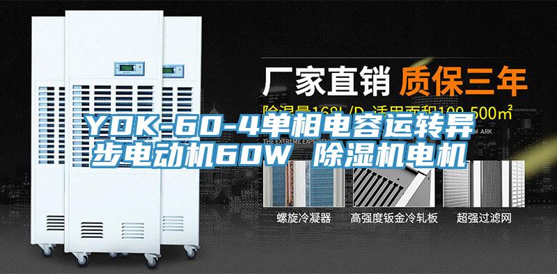 YDK-60-4單相電容運轉異步電動機60W PICACG哔咔官网入口電機