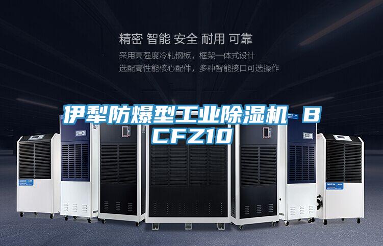 伊犁防爆型工業PICACG哔咔官网入口 BCFZ10