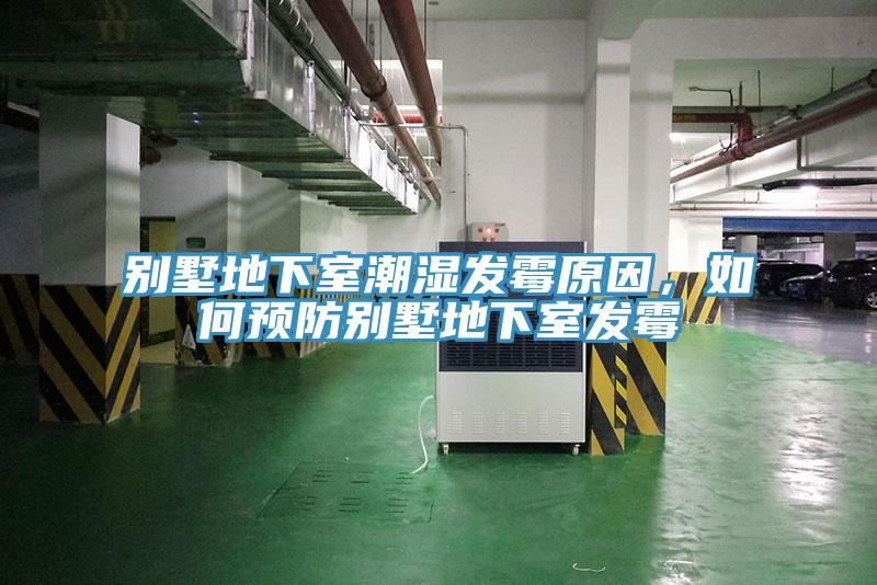 別墅地下室潮濕發黴原因，如何預防別墅地下室發黴
