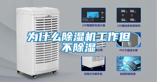 為什麽PICACG哔咔官网入口工作但不除濕