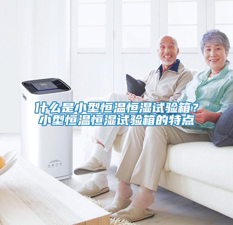 什麽是小型恒溫恒濕試驗箱？小型恒溫恒濕試驗箱的特點