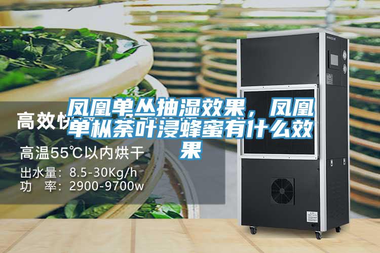 鳳凰單叢抽濕效果，鳳凰單樅荼葉浸蜂蜜有什麽效果