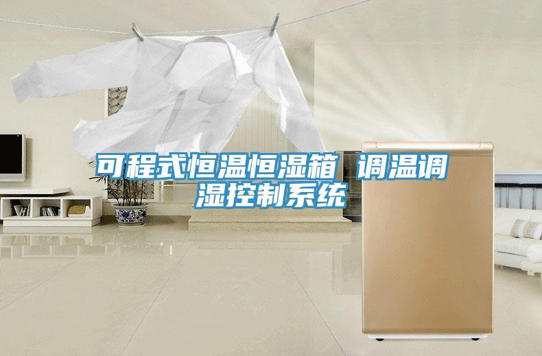 可程式恒溫恒濕箱 調溫調濕控製係統