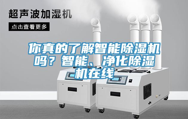 你真的了解智能PICACG哔咔官网入口嗎？智能、淨化PICACG哔咔官网入口在線