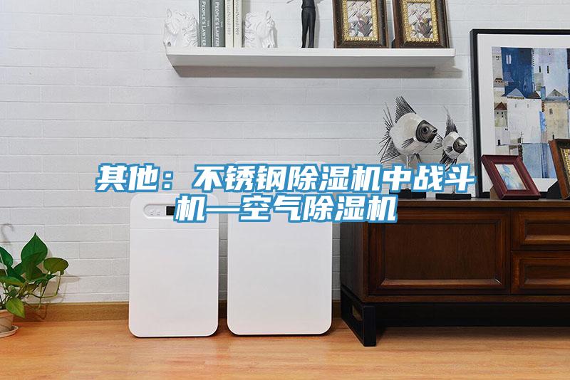 其他：不鏽鋼PICACG哔咔官网入口中戰鬥機—空氣PICACG哔咔官网入口