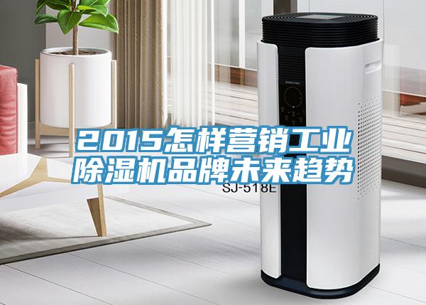 2015怎樣營銷工業PICACG哔咔官网入口品牌未來趨勢