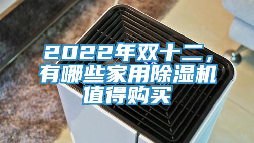 2022年雙十二，有哪些家用PICACG哔咔官网入口值得購買