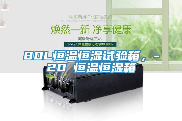 80L恒溫恒濕試驗箱，-20℃恒溫恒濕箱