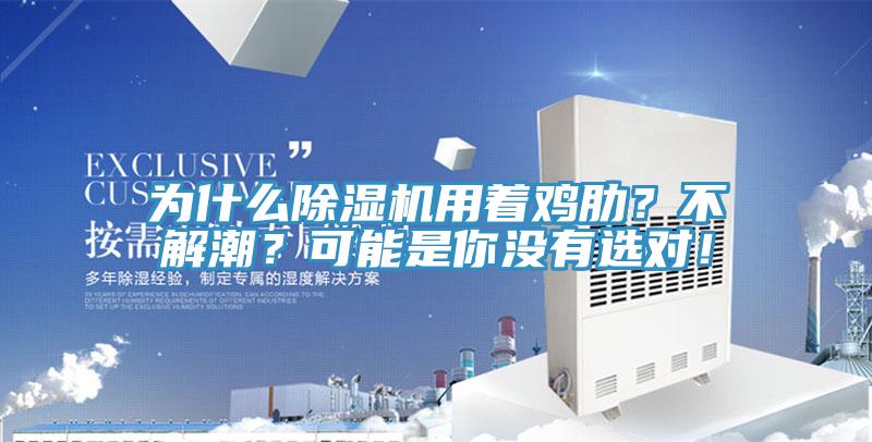 為什麽PICACG哔咔官网入口用著雞肋？不解潮？可能是你沒有選對！