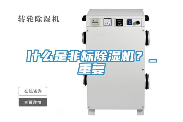 什麽是非標PICACG哔咔官网入口？_重複