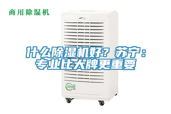 什麽PICACG哔咔官网入口好？蘇寧：專業比大牌更重要