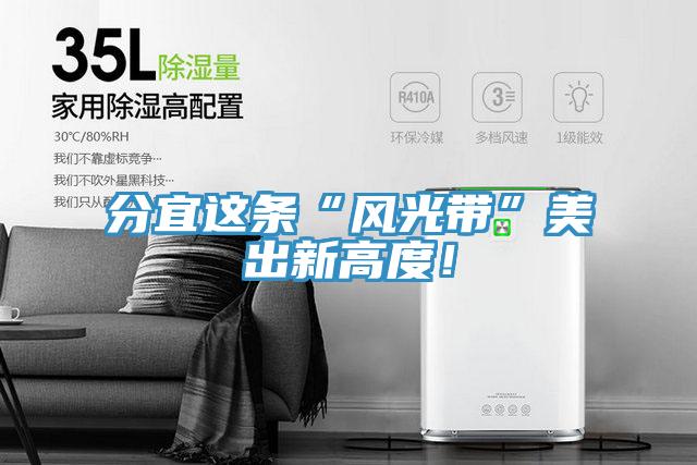 分宜這條“風光帶”美出新高度！