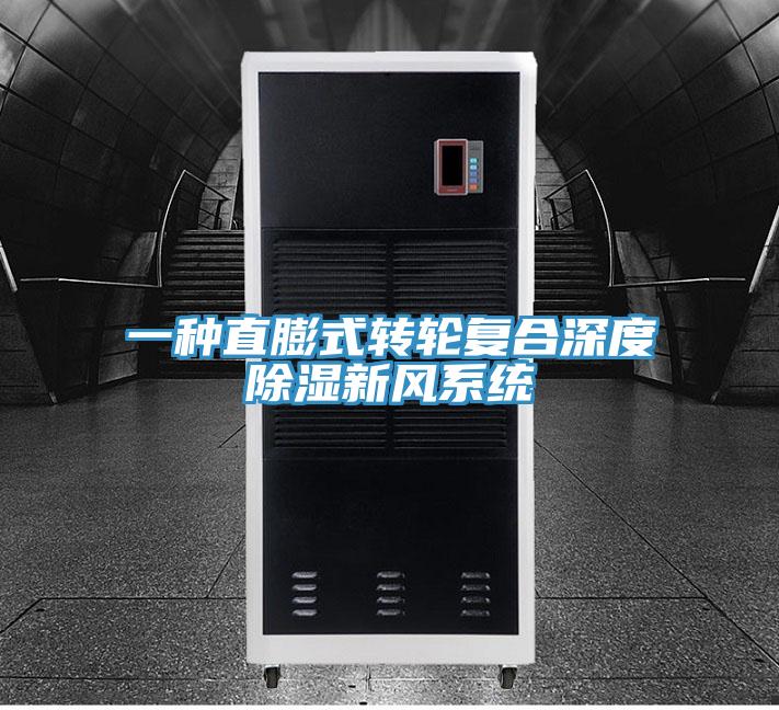 一種直膨式轉輪複合深度除濕新風係統