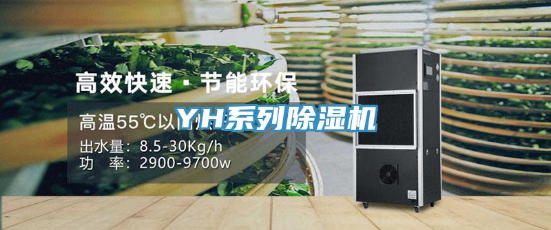 YH係列PICACG哔咔官网入口