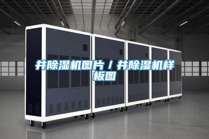 井PICACG哔咔官网入口圖片／井PICACG哔咔官网入口樣板圖