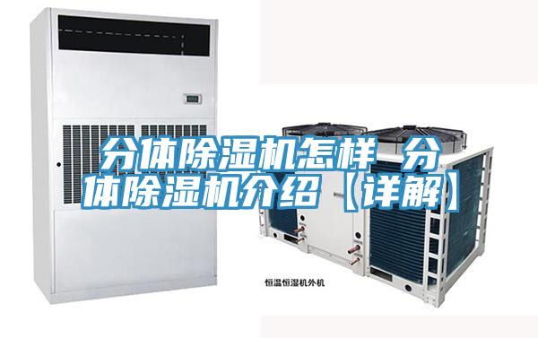 分體PICACG哔咔官网入口怎樣 分體PICACG哔咔官网入口介紹【詳解】