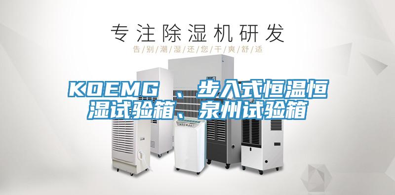 KOEMG 、步入式恒溫恒濕試驗箱、泉州試驗箱