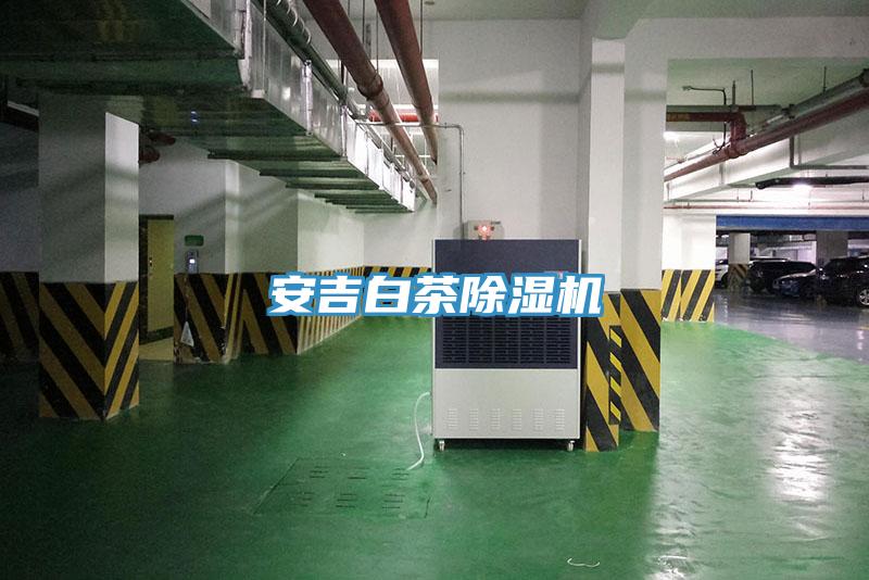 安吉白茶PICACG哔咔官网入口