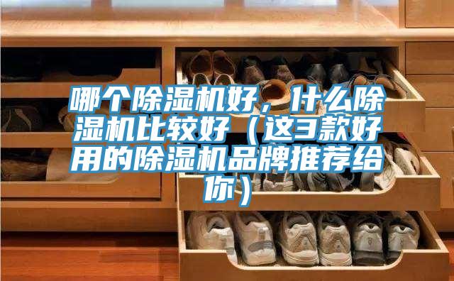 哪個PICACG哔咔官网入口好，什麽PICACG哔咔官网入口比較好（這3款好用的PICACG哔咔官网入口品牌推薦給你）