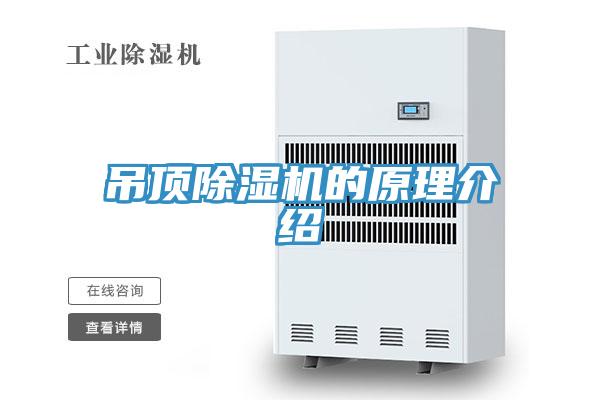 吊頂PICACG哔咔官网入口的原理介紹