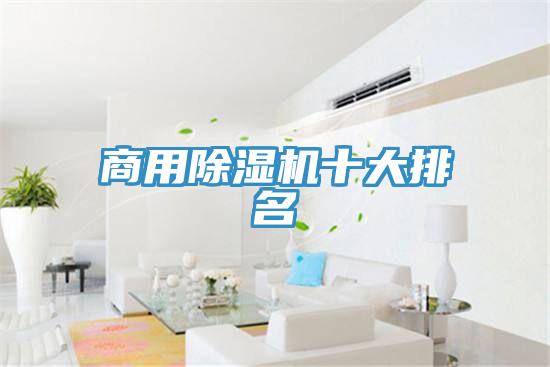 商用PICACG哔咔官网入口十大排名