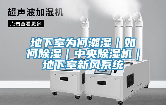 地下室為何潮濕｜如何除濕｜中央PICACG哔咔官网入口｜地下室新風係統