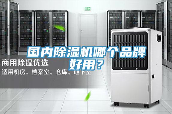 國內PICACG哔咔官网入口哪個品牌好用？