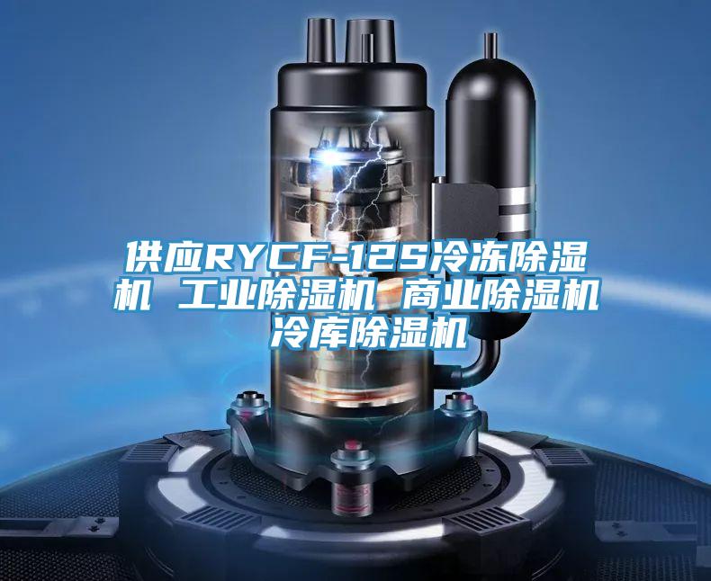 供應RYCF-12S冷凍PICACG哔咔官网入口 工業PICACG哔咔官网入口 商業PICACG哔咔官网入口 冷庫PICACG哔咔官网入口