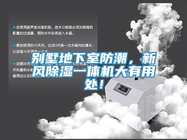 別墅地下室防潮，新風除濕一體機大有用處！