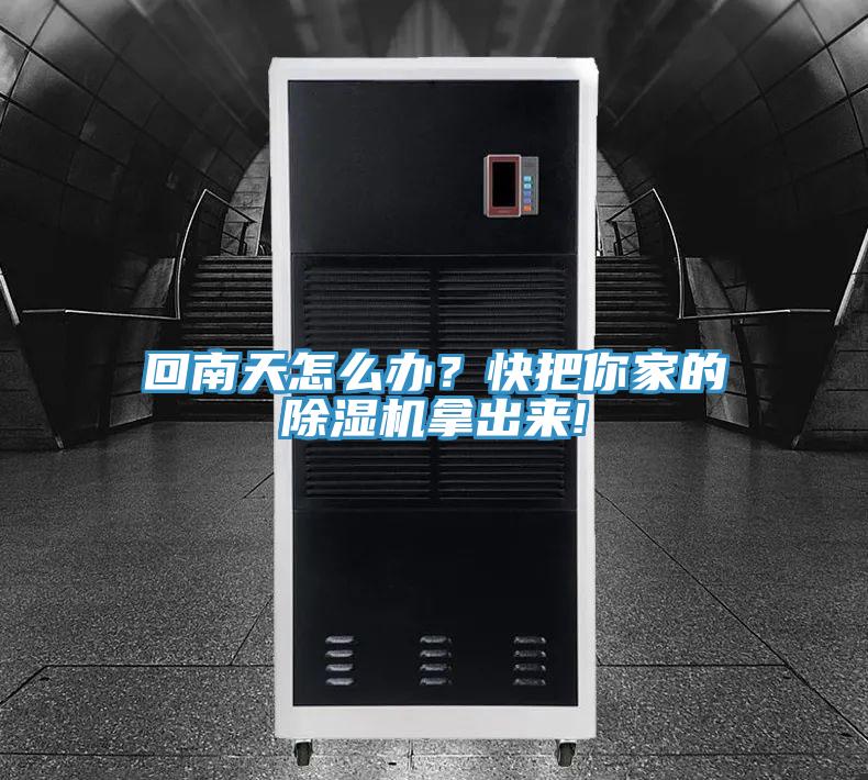 回南天怎麽辦？快把你家的PICACG哔咔官网入口拿出來!