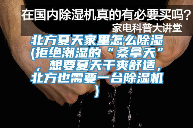 北方夏天家裏怎麽除濕(拒絕潮濕的“桑拿天”，想要夏天幹爽舒適，北方也需要一台PICACG哔咔官网入口)