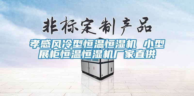 孝感風冷型恒溫恒濕機 小型展櫃恒溫恒濕機廠家直供