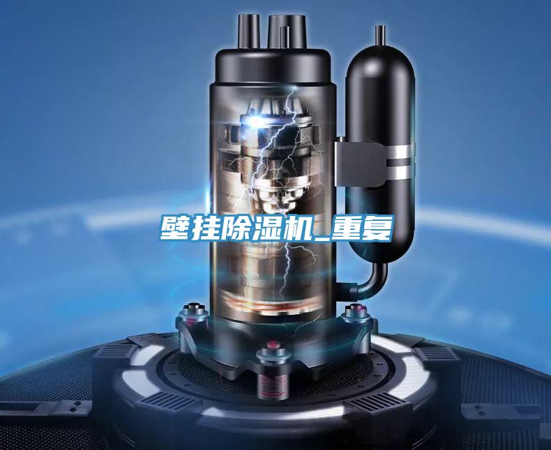 壁掛PICACG哔咔官网入口_重複