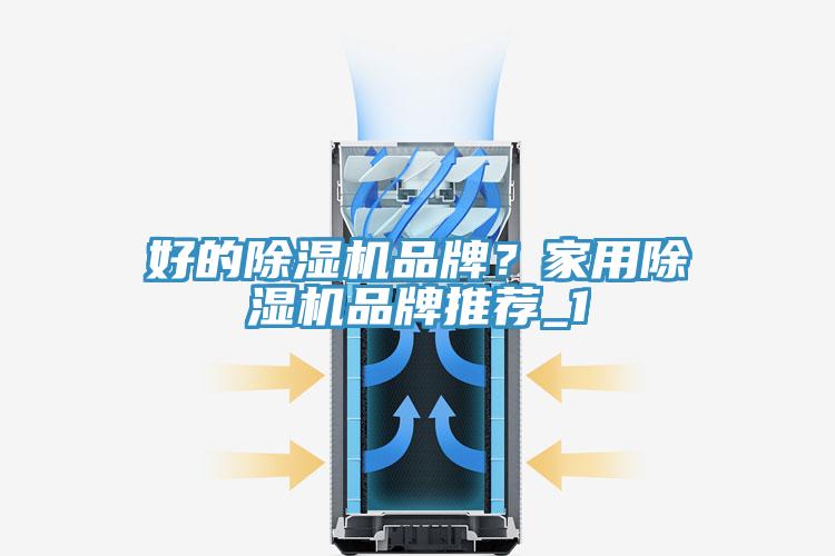 好的PICACG哔咔官网入口品牌？家用PICACG哔咔官网入口品牌推薦_1