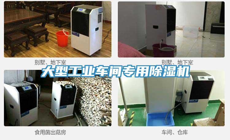 大型工業車間專用PICACG哔咔官网入口