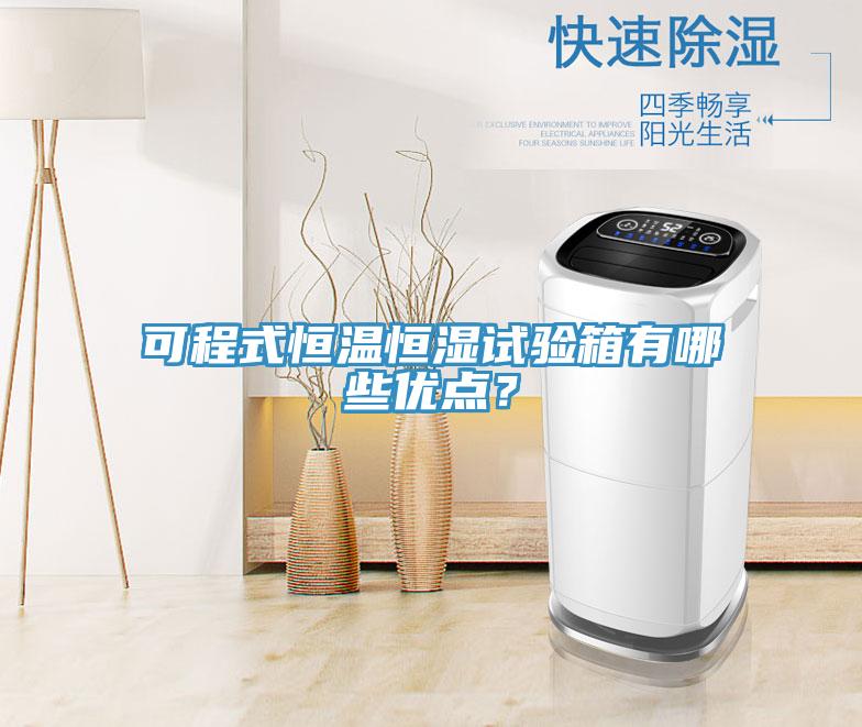 可程式恒溫恒濕試驗箱有哪些優點？